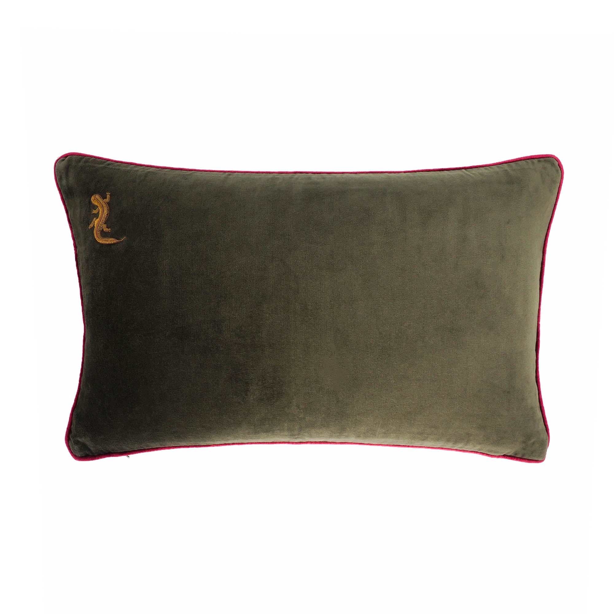 Green Gecko Velvet Throw Pillow Cover 14 X 24