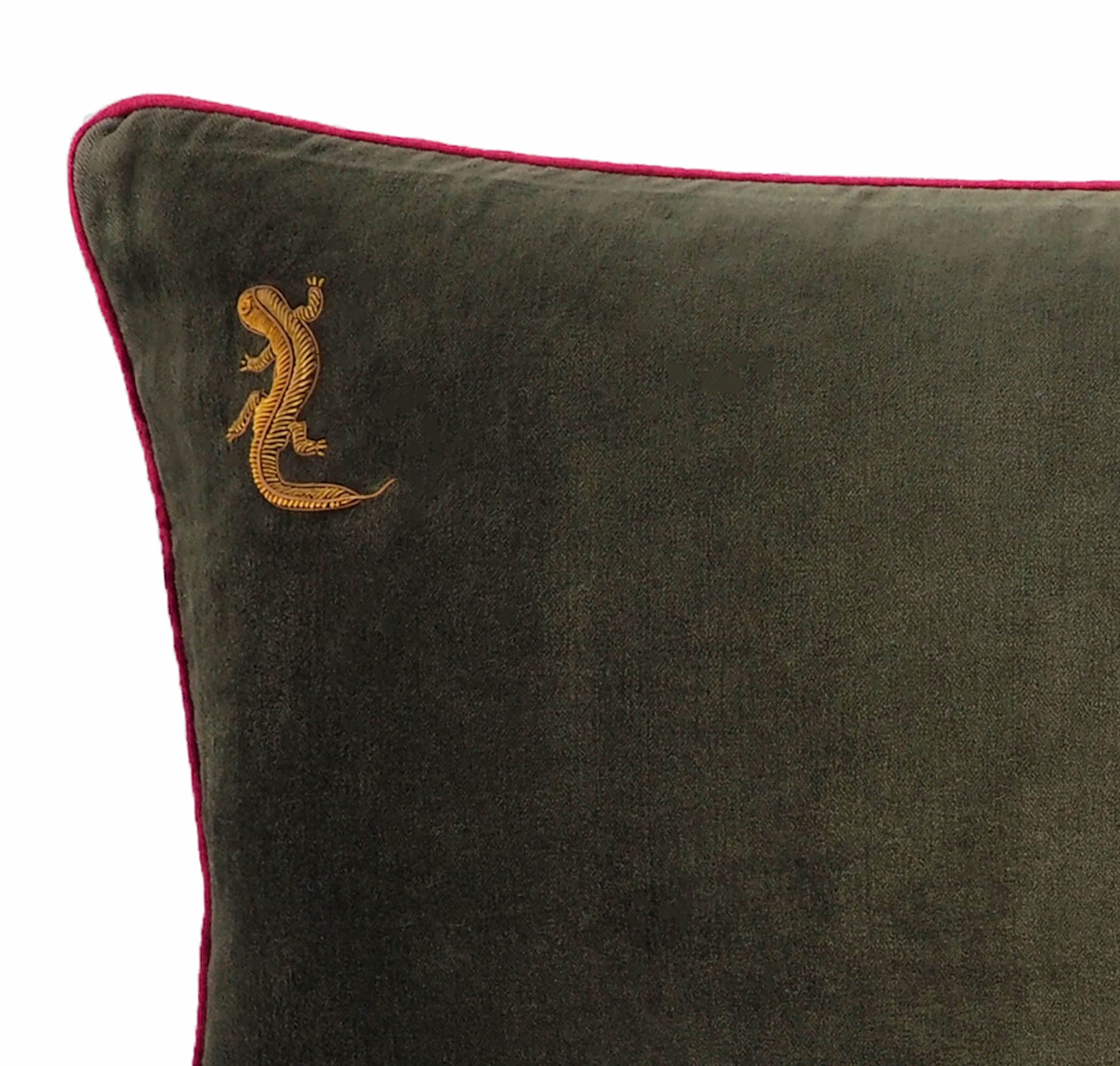 Green Gecko Velvet Throw Pillow Cover 14 X 24
